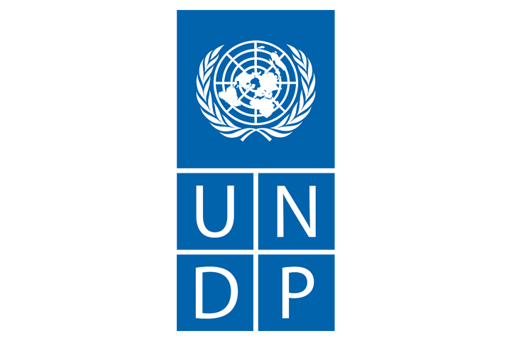 Logo UNDP