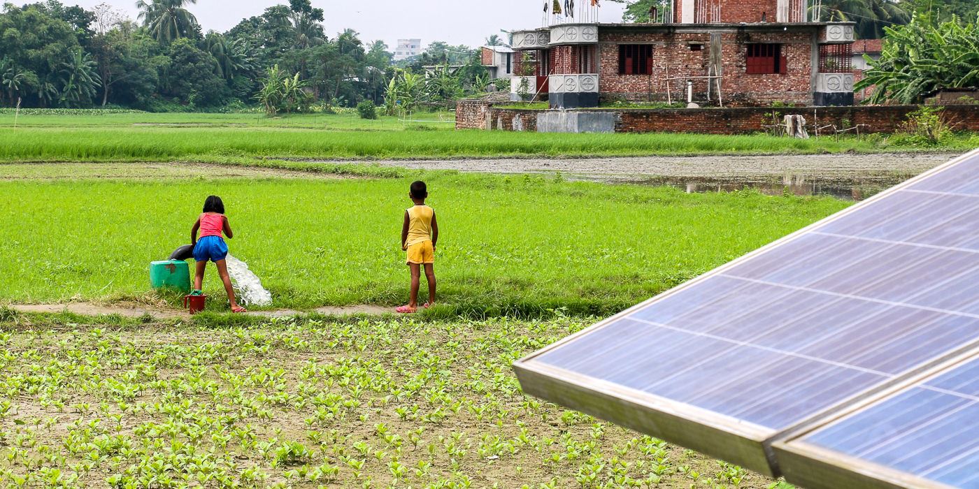Solar Panel In A Rice Field With A Child